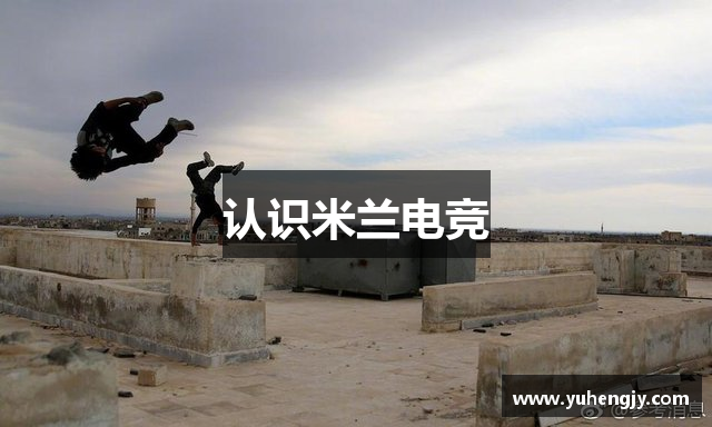 认识米兰电竞